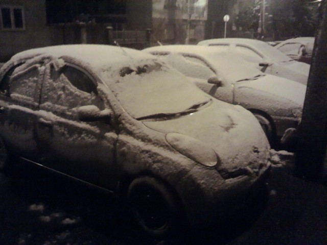 IMG 20121029 052327