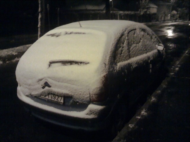 IMG 20121029 052424