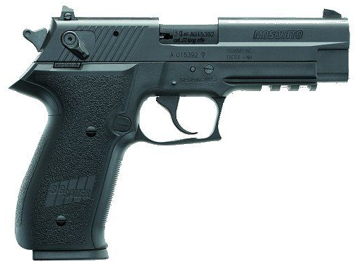 Hand Gun