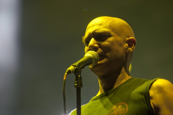 cipo bodi laszlo mti