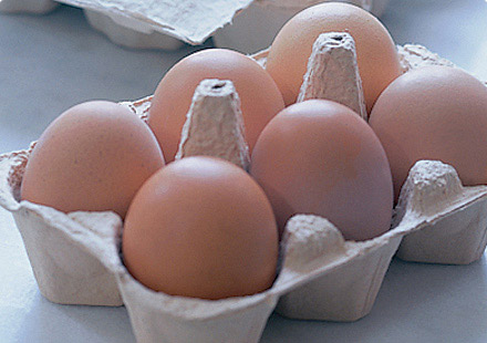 egg