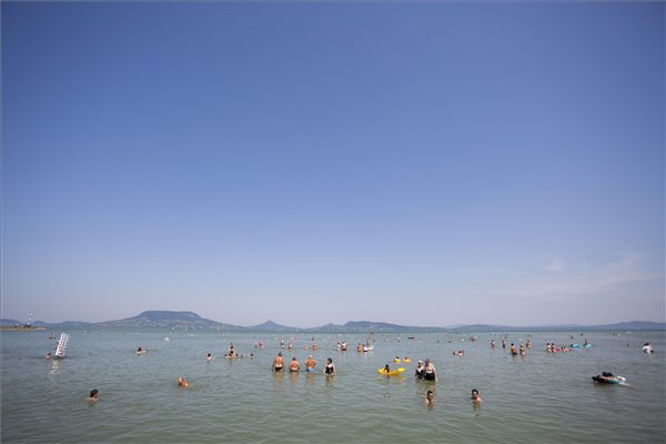 balforr