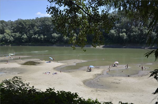 forrosagtisza