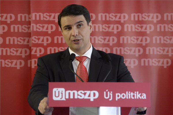 mesterhazy mszp kongresszus 2013
