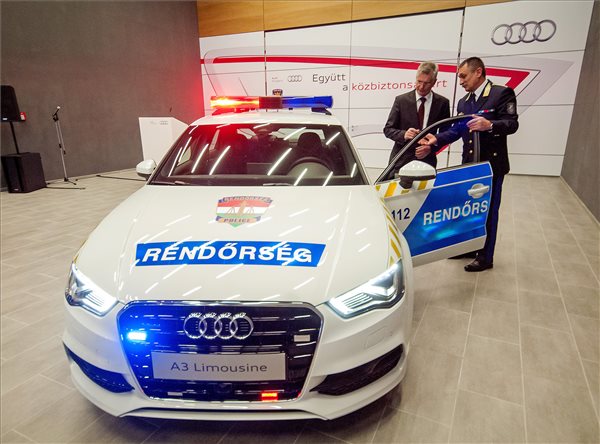 rendor audimti
