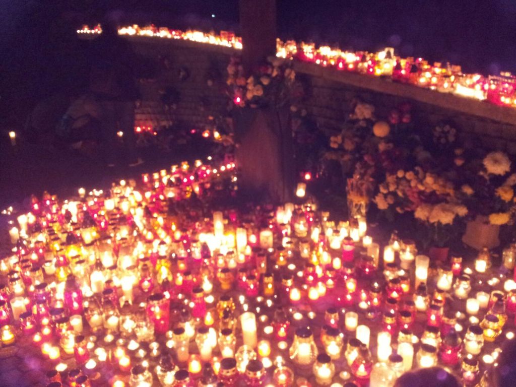 image-1a8e6123cc4fa47b675446cad509823f789cb74cf74404277cd40b49db867c16-V