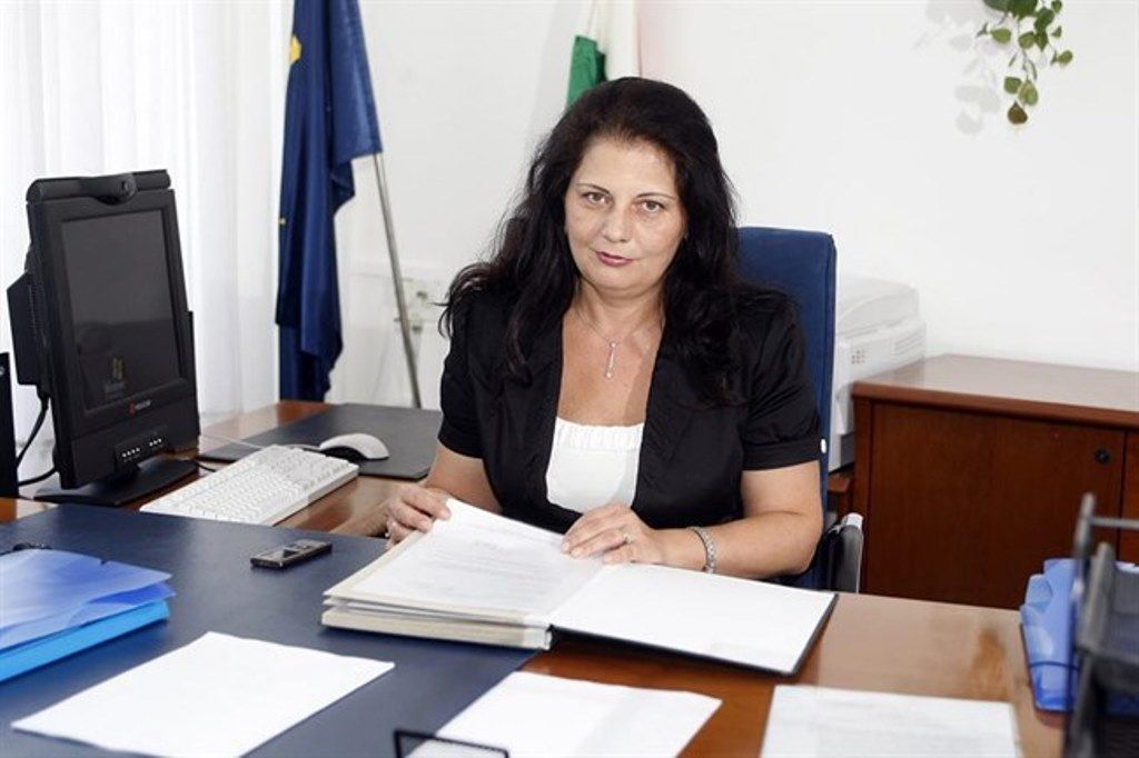 Vida Ildikó, a NAV elnöke