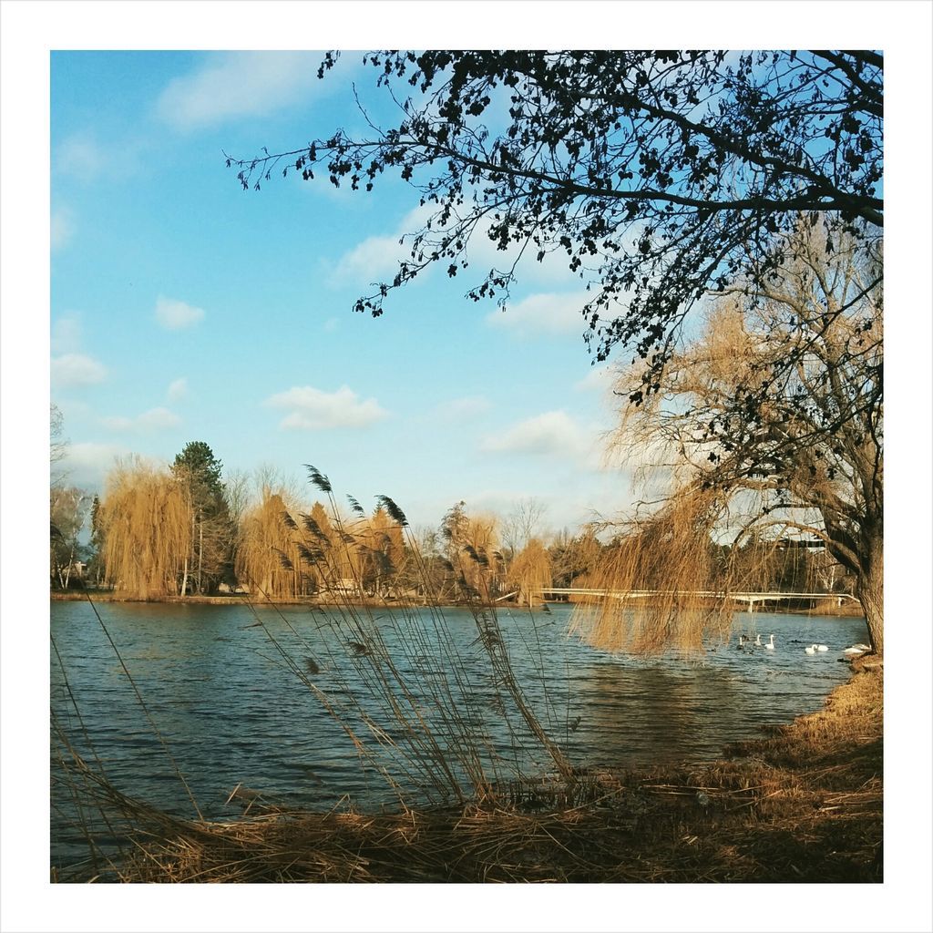 PhotoGrid_1422393867652