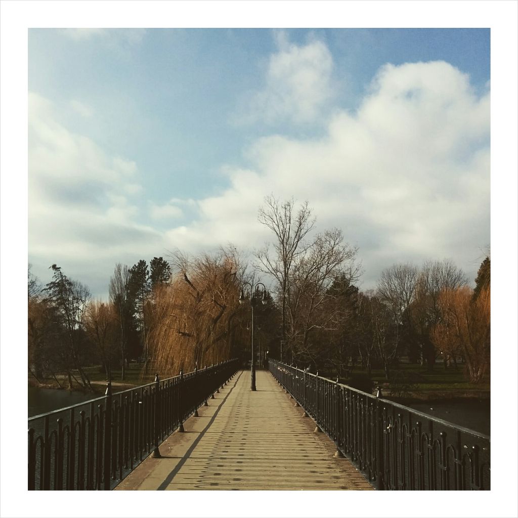 PhotoGrid_1422465145112