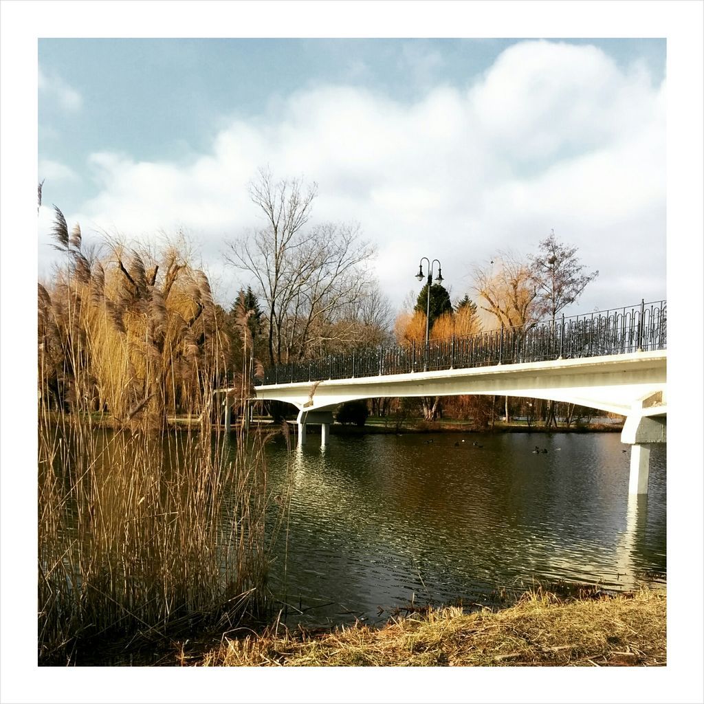 PhotoGrid_1422465264946