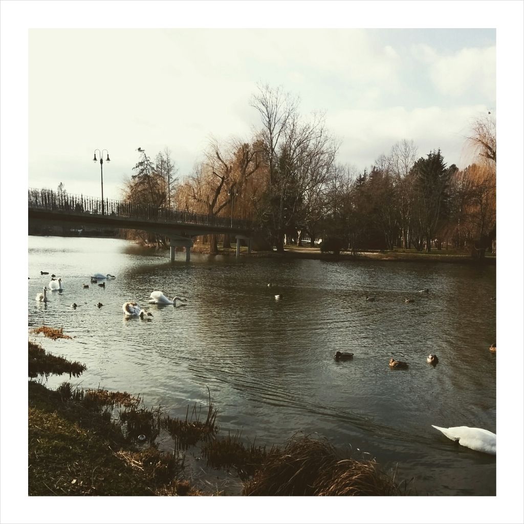 PhotoGrid_1422465361882