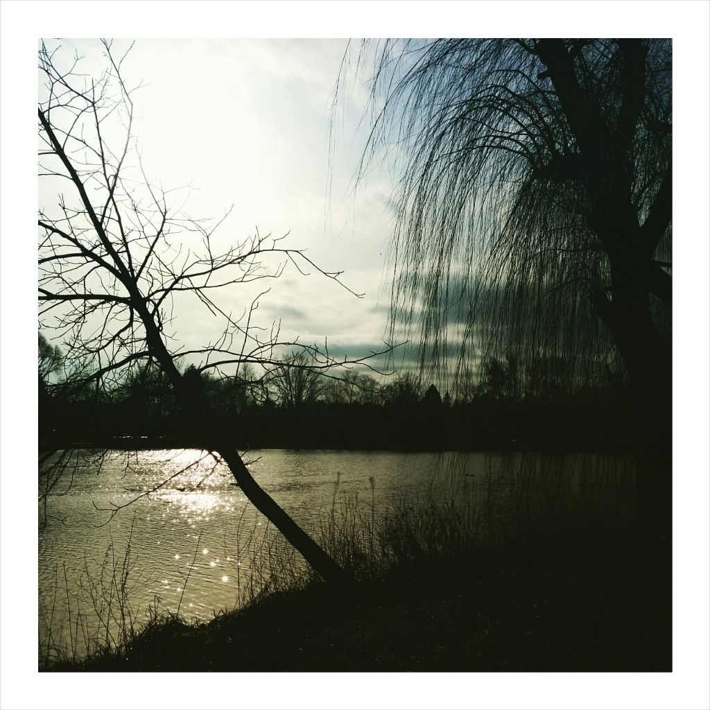 PhotoGrid_1422465479152