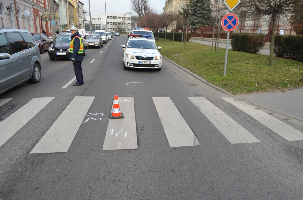 Fotó: Vas Megyei Rendőr-főkapitányság