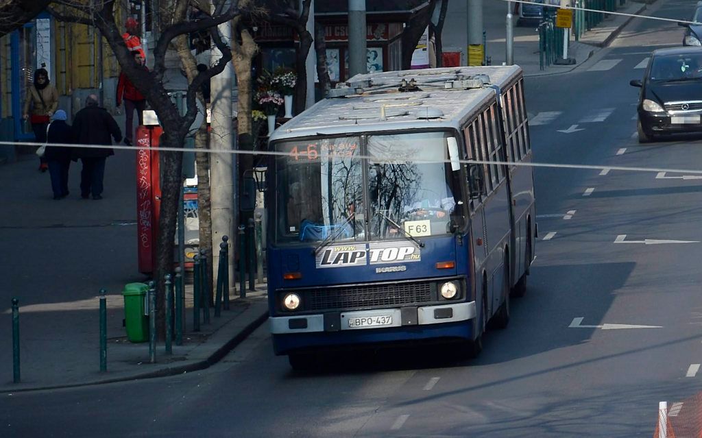 MTI Fotó: Soós Lajos