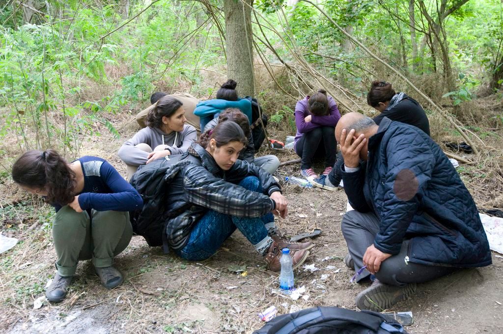 Szeged, 2015. június 23. A Tisza árterében a rendõrök elõl elbújó határsértõk Szeged közelében 2015. június 23-án. Az elmúlt napokban tömegével próbálnak az ország belsejébe eljutni a határsértõk a vajdasági Martonos felõl a Tisza aljnövényzettel sûrûn benõtt árterén keresztül. MTI Fotó: Kelemen Zoltán Gergely