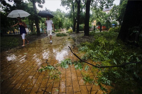 Budapest, 2015. július 8. A viharban letört ágak Budapesten, a Hunyadi téren 2015. július 8-án. MTI Fotó: Balogh Zoltán