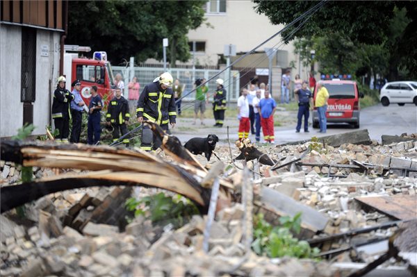 Budapest, 2015. július 8. Egy tűzoltó Budapest X. kerületében, a Cserkesz utcában 2015. július 8-án keresőkutyájával a viharban kidőlt téglafal romjait ellenőrzi, hogy az esetleg nem temetett-e valakit maga alá. MTI Fotó: Mihádák Zoltán