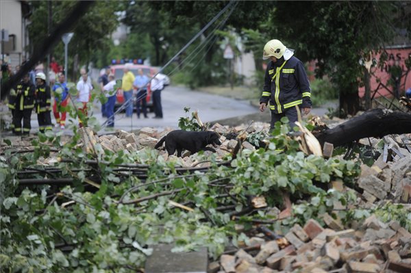 Budapest, 2015. július 8. Egy tűzoltó Budapest X. kerületében, a Cserkesz utcában 2015. július 8-án keresőkutyájával a viharban kidőlt téglafal romjait ellenőrzi, hogy az esetleg nem temetett-e valakit maga alá. MTI Fotó: Mihádák Zoltán