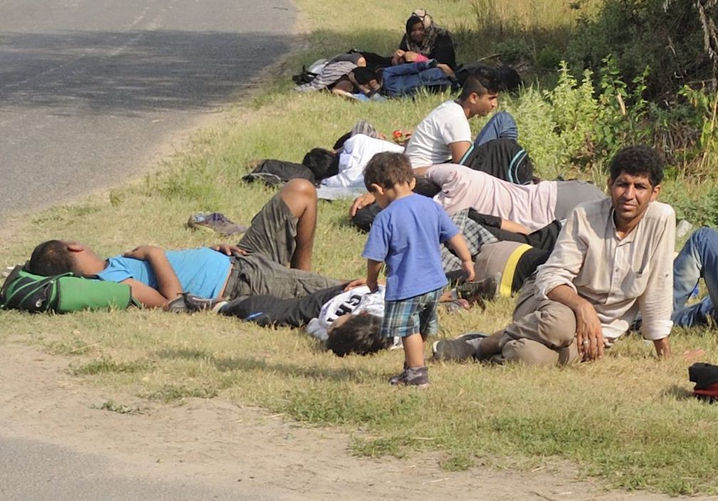 Mórahalom, 2015. július 29. Elfogott határsértõk Mórahalom határában 2015. július 29-én. Az elõzõ napon 68 csoportban minden eddiginél több, 1524 határsértõt - köztük 260 gyermeket - tartóztattak föl a rendõrök a polgárõrökkel együttmûködve Csongrád megye déli részén. MTI Fotó: Kelemen Zoltán Gergely