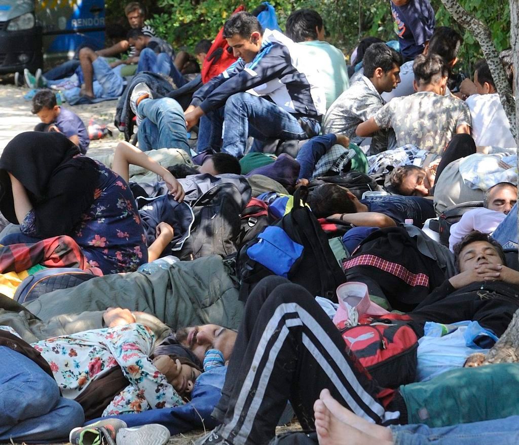 Mórahalom, 2015. július 29. Elfogott határsértõk Mórahalom határában 2015. július 29-én. Az elõzõ napon 68 csoportban minden eddiginél több, 1524 határsértõt - köztük 260 gyermeket - tartóztattak föl a rendõrök a polgárõrökkel együttmûködve Csongrád megye déli részén. MTI Fotó: Kelemen Zoltán Gergely