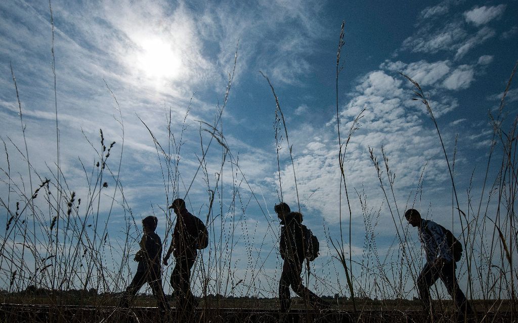 Röszke, 2015. augusztus 25. Migránsok a Röszke melletti vasúti átjárónál a magyar-szerb határon 2015. augusztus 25-én. MTI Fotó: Ujvári Sándor