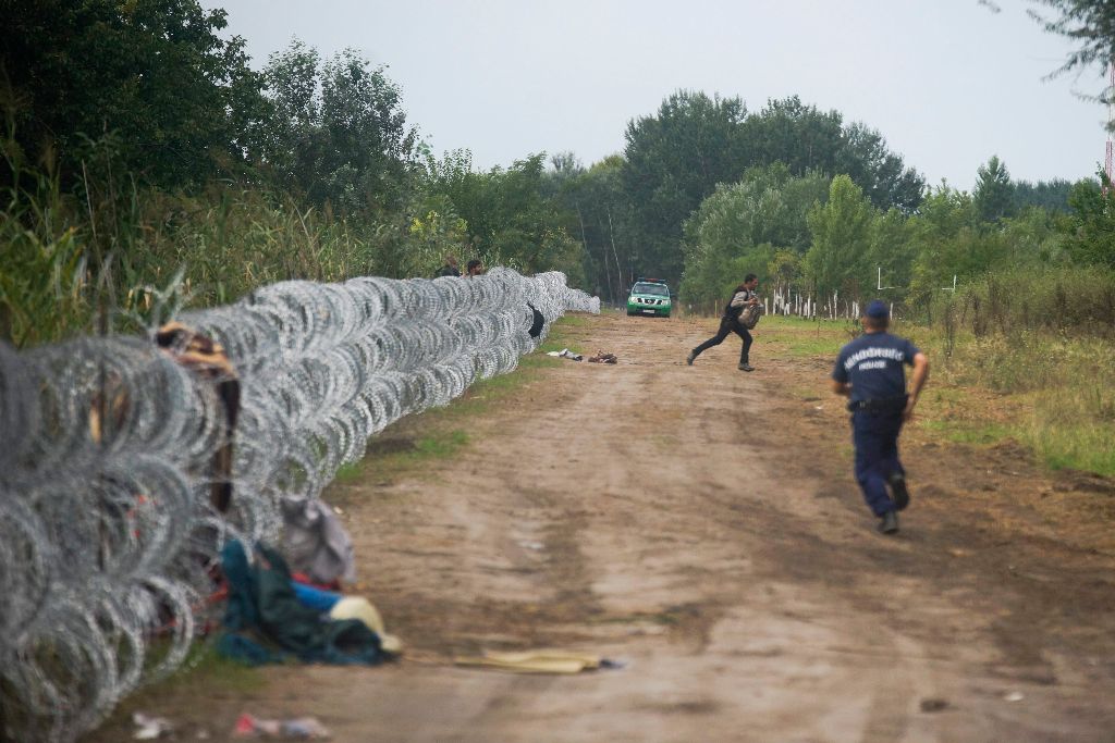Röszke, 2015. augusztus 26. A gyorstelepítésû drótakadályon átmászott illegális bevándorlót üldöz egy rendõr Röszke közelében, a magyar-szerb határon 2015. augusztus 26-án. MTI Fotó: Balogh Zoltán