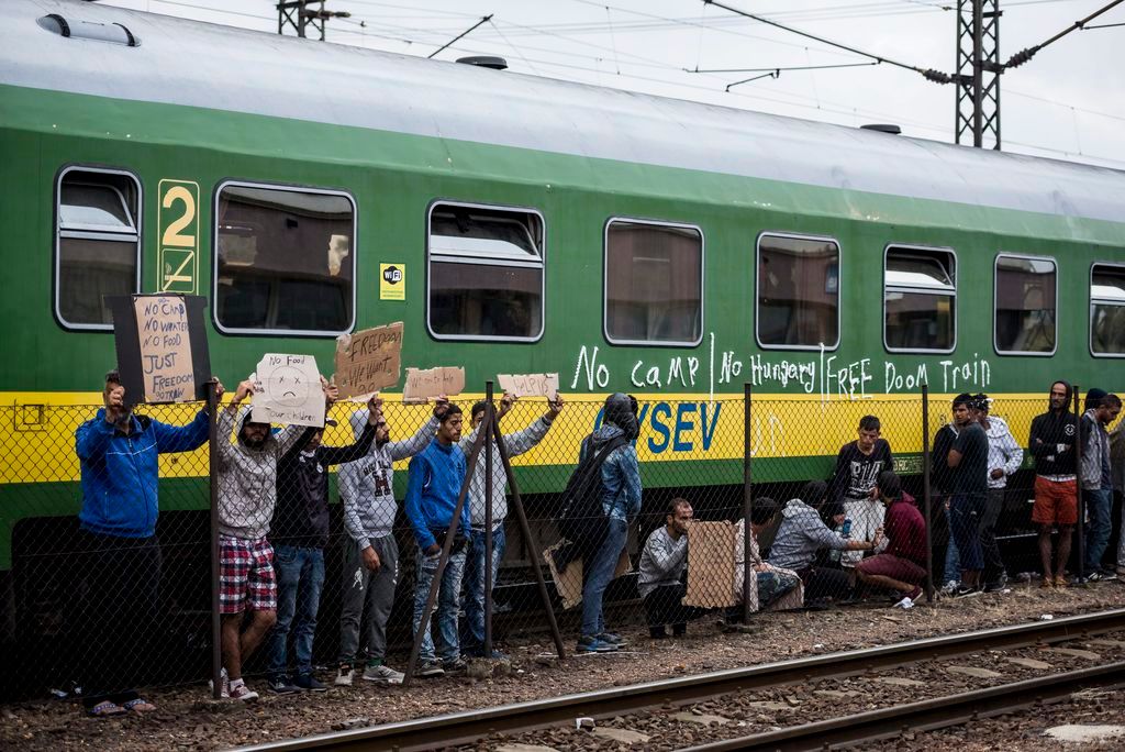 Bicske, 2015. szeptember 4. A bicskei állmáson álló vonaton éjszakázó illegális bevándorlók egy része tüntet 2015. szeptember 4-én a szerelvény mellett. A rendõrség korábban leszállította a bevándorlókat a vonatról, hogy a befogadóállomásra kísérje õket, de miután nem voltak hajlandóak elindulni a központba, késõbb visszaengedték az embereket a szerelvényekre. A szerelvényen maradt mintegy ötszáz migráns a regisztrációhoz szükséges rendõri intézkedéssel szemben továbbra is passzív ellenállást tanúsít, és nem hajlandó együttmûködni. MTI Fotó: Bodnár Boglárka