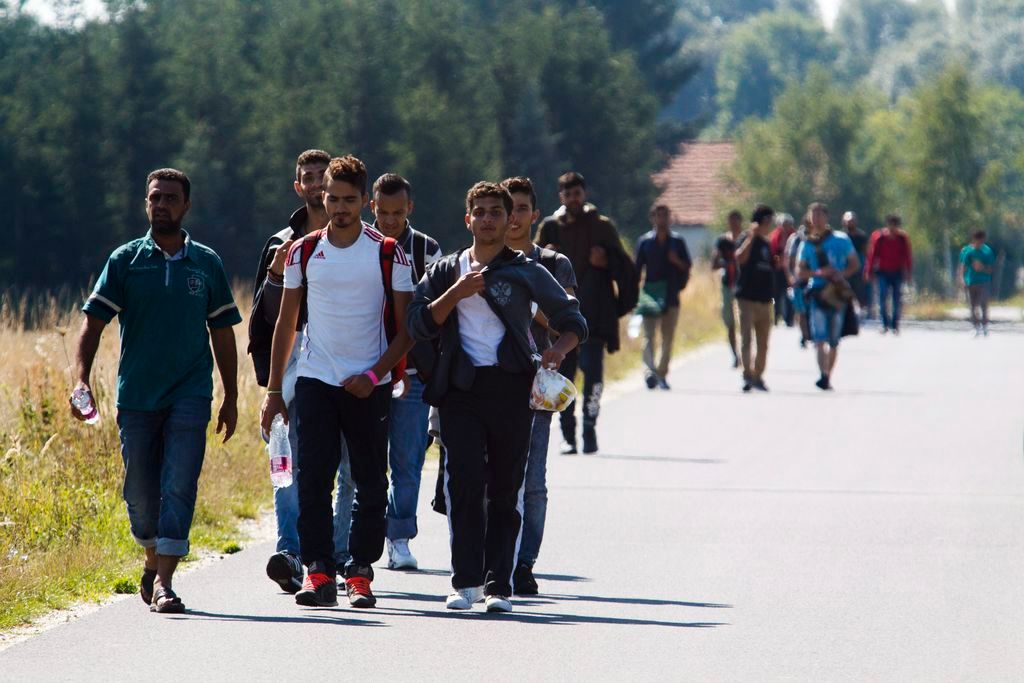 Pinkamindszent, 2015. szeptember 12. A magyar-osztrák határ felé tartó illegális bevándorlók Pinkamindszent határában 2015. szeptember 12-én. MTI Fotó: Varga György
