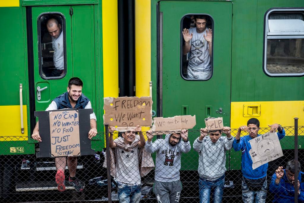 Bicske, 2015. szeptember 4. A bicskei állmáson álló vonaton éjszakázó illegális bevándorlók egy része tüntet 2015. szeptember 4-én a szerelvény mellett. A rendõrség korábban leszállította a bevándorlókat a vonatról, hogy a befogadóállomásra kísérje õket, de miután nem voltak hajlandóak elindulni a központba, késõbb visszaengedték az embereket a szerelvényekre. A szerelvényen maradt mintegy ötszáz migráns a regisztrációhoz szükséges rendõri intézkedéssel szemben továbbra is passzív ellenállást tanúsít, és nem hajlandó együttmûködni. MTI Fotó: Bodnár Boglárka