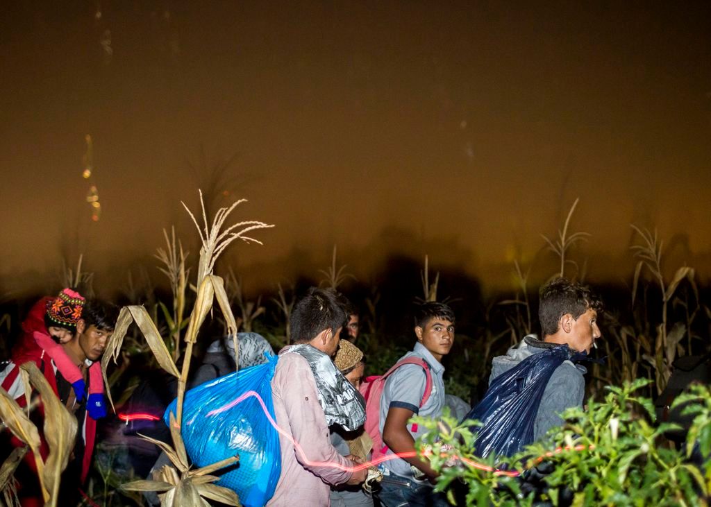 Röszke, 2015. szeptember 12. Migránsokat Röszke határában, miután több százan elindultak a gyûjtõpontról 2015. szeptember 12-én késõ este. A tömeg egy ideig a síneken haladt, majd egy kukoricáson keresztül egy úthoz értek. MTI Fotó: Mohai Balázs