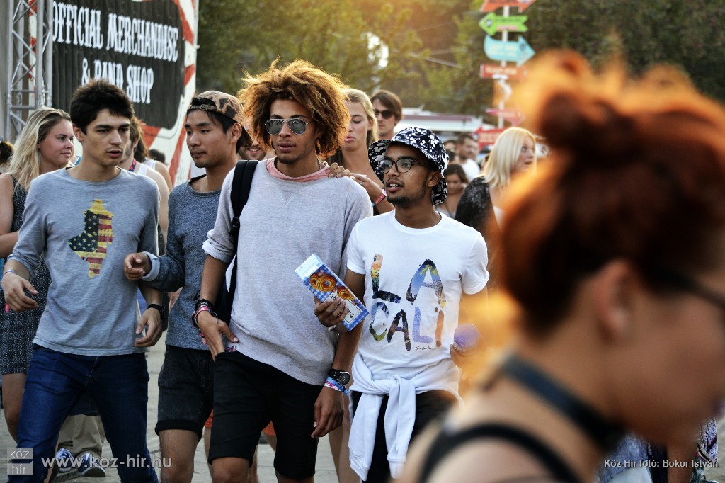 SZIGET2016JOHNNEWMANBI11