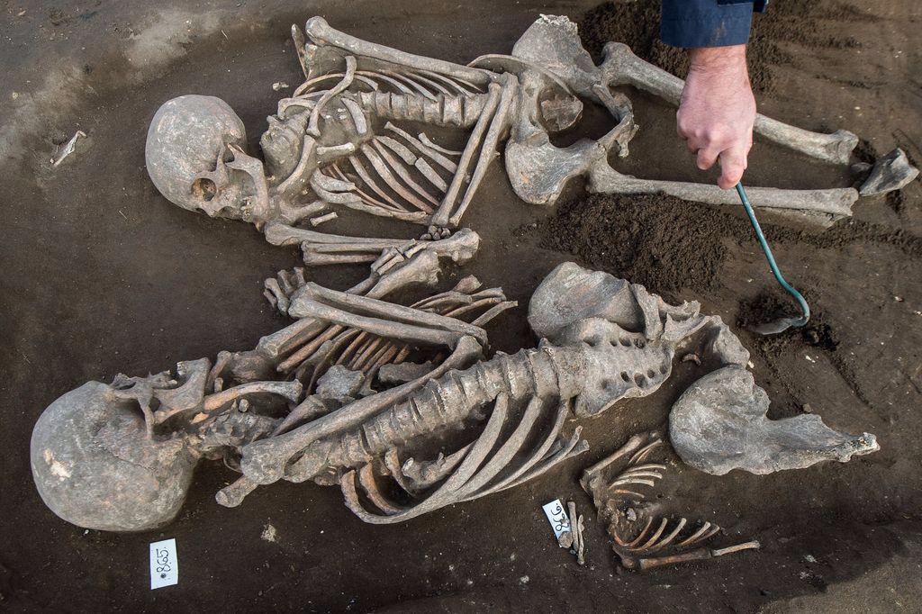 Tázlár, 2016. október 20. Idõs pár földi maradványait tárják fel Tázlár-Templomhegyen 2016. október 20-án. A Kecskeméti Katona József Múzeum megbízásából végzik a templom környezetében lévõ 3000 sír egy részének feltárását. Az Árpád-korból, valamint a tatárdúlást követõ idõszakból való földi maradványokat tárják fel a régészek. MTI Fotó: Ujvári Sándor