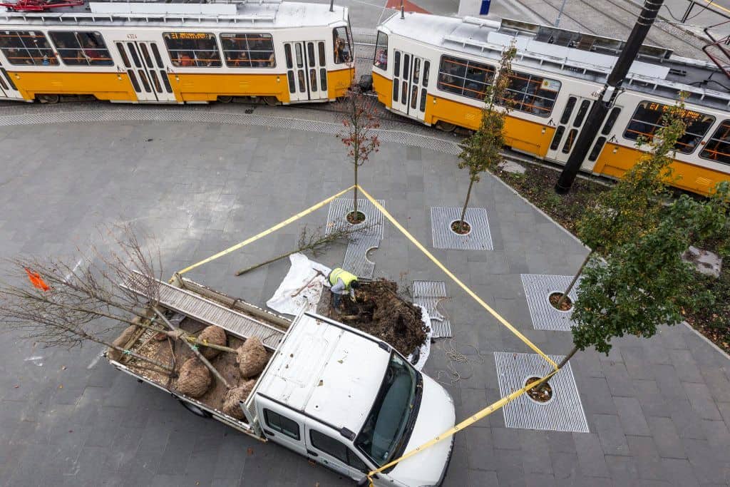 Budapest, 2016. november 8. Egy munkás a Széll Kálmán téren, ahol megkezdték a kiszáradt fák cseréjét november 8-án. MTI Fotó: Szigetváry Zsolt
